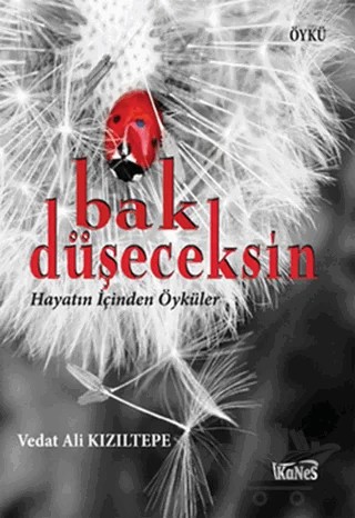 Bak Düşeceksin – Vedat Ali Kızıltepe – Kanes Yayınları kitap kapağı