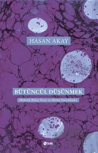 Bütüncül Düşünmek – Hasan Akay – Şule Yayınları kitap kapağı