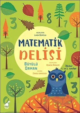 Matematik Delisi - Büyülü Orman – Linda Bertola – Dinozor Çocuk kitap kapağı