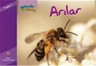 Bir Zamanlar Korkardım - Arılar – Elaine Pascoe – TÜBİTAK Yayınları kitap kapağı