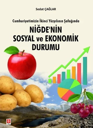 Niğde'nin Sosyal ve Ekonomik Durumu – Sedat Çağlar – Ekin Basım Yayın kitap kapağı