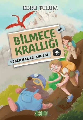 Bilmece Krallığı 3 - Ejderhalar Kulesi – Ebru Tulum – Acayip Kitaplar kitap kapağı