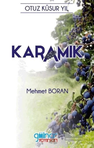 Karamık – Mehmet Boran – Gülnar Yayınları kitap kapağı