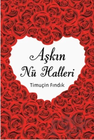 Aşkın Nü Halleri – Timuçin Fındık – Omega kitap kapağı