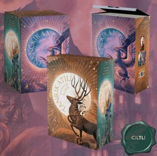 Düşmüş Tanrılar Serisi - 3 Kitaplık Kutulu Set – Hannah Kaner – Olimpos Yayınları kitap kapağı