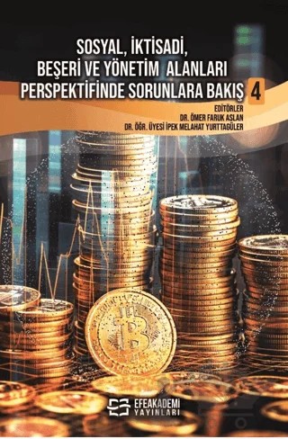 Sosyal, İktisadi, Beşeri ve Yönetim Alanları Perspektifinde Sorunlara Bakış 4 – Kolektif – Efe Akademi Yayınları kitap kapağı