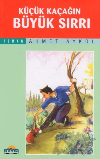 Küçük Kaçağın Büyük Sırrı – Ahmet Aykol – Hikmet Neşriyat - Kafdağı Gençlik Kitapları kitap kapağı
