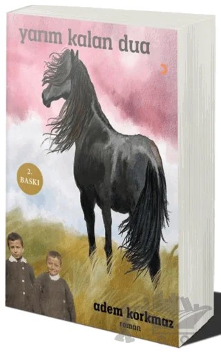 Yarım Kalan Dua – Sema Aksu – Cinius Yayınları kitap kapağı
