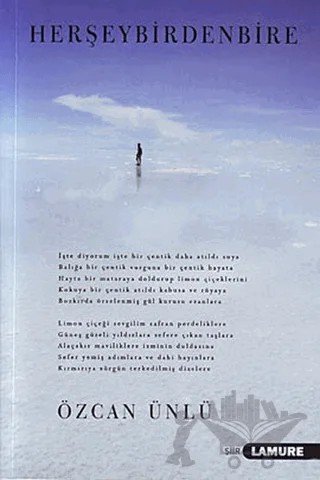 Herşey Birdenbire – Özcan Ünlü – Lamure Yayınları kitap kapağı