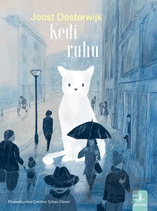 Kedi Ruhu – Joost Oosterwijk – Büyülü Fener Yayınları kitap kapağı