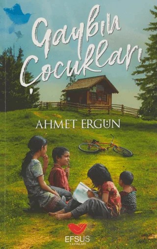 Gaybın Çocukları – Ahmet Ergün – Efsus Yayınları kitap kapağı