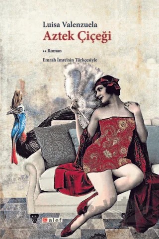 Aztek Çiçeği – Luisa Valenzuela – Alef Yayınevi kitap kapağı