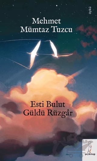 Esti Bulur Güldü Rüzgar – Mehmet Mümtaz Tuzcu – Şey Kitap kitap kapağı