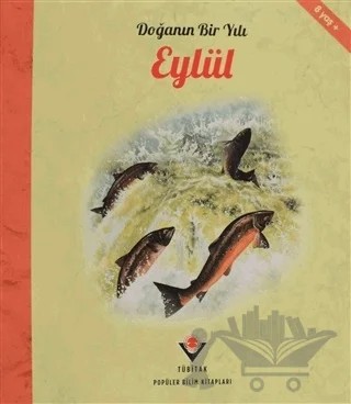 Doğanın Bir Yılı - Eylül – Ruth Symons – TÜBİTAK Yayınları kitap kapağı