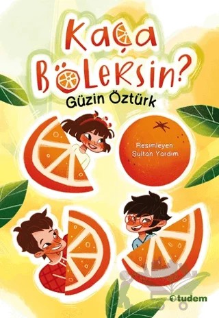 Kaça Bölersin? – Güzin Öztürk – Tudem Yayınları kitap kapağı