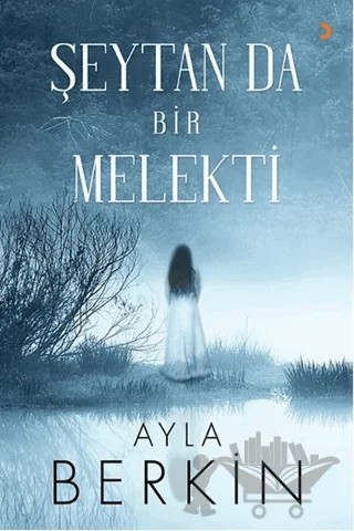 Şeytan da Bir Melekti – Ayla Berkin – Cinius Yayınları kitap kapağı