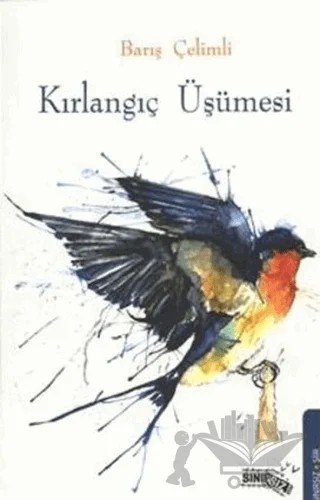 Kırlangıç Üşümesi – Barış Çelimli – Sınırsız Kitap kitap kapağı