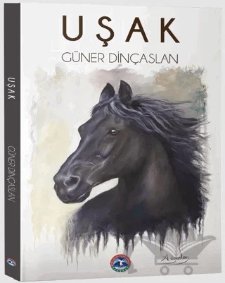 Uşak – Kolektif – Metropol Yayınları kitap kapağı