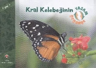 Kral Kelebeğinin Yaşam Döngüsü – David M. Schwartz – TÜBİTAK Yayınları kitap kapağı