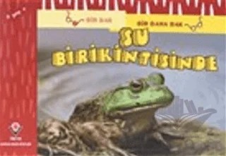 Bir Bak Bir Daha Bak - Su Birikintisinde – David M. Schwartz, Marilyn Marks – TÜBİTAK Yayınları kitap kapağı