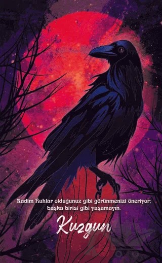 Şaman Defterleri - Kuzgun – Evangelia Volanis – Gece Kitaplığı kitap kapağı