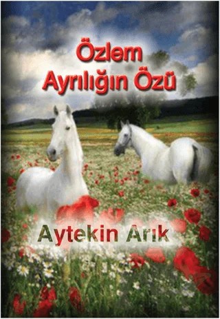 Özlem Ayrılığın Özü – Aytekin Arık – İnsancıl Yayınları kitap kapağı