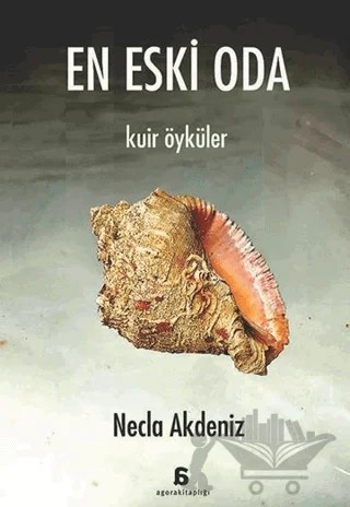 En Eski Oda – Necla Akdeniz – Agora Kitaplığı kitap kapağı