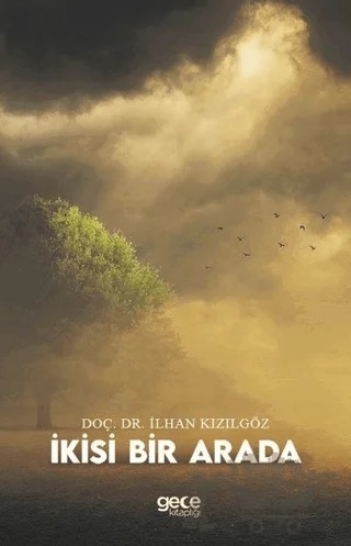 İkisi Bir Arada – İlhan Kızılgöz – Gece Kitaplığı kitap kapağı