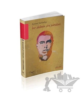 Bir Delinin Çivi Yaraları – Kerem Şahinboy – Medakitap Yayınları kitap kapağı