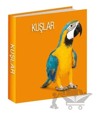 Kuşlar – Kolektif – Koleksiyon Yayıncılık kitap kapağı