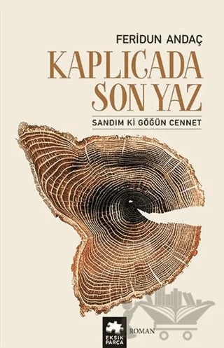 Kaplıcada Son Yaz – Feridun Andaç – Eksik Parça Yayınları kitap kapağı