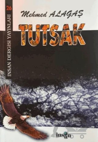 Tutsak – Mehmed Alagaş – İnsan Dergisi Yayınları kitap kapağı