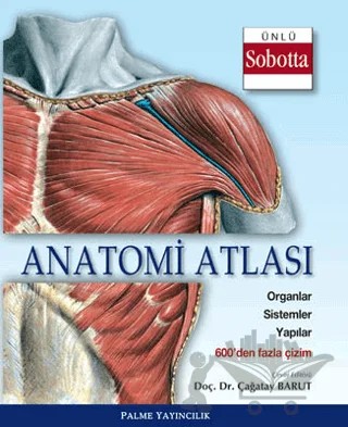Anatomi Atlası (Sobotta Çizimleri) – Kolektif – Palme Yayıncılık kitap kapağı