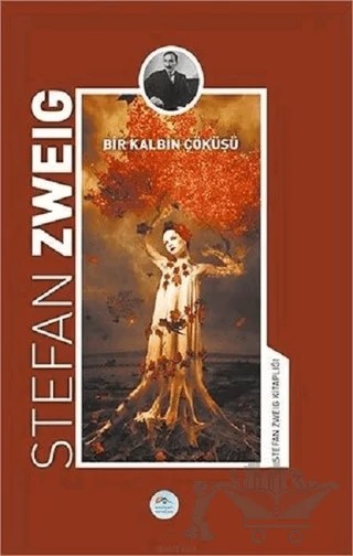 Bir Kalbin Çöküşü – Stefan Zweıg – Maviçatı Yayınları kitap kapağı