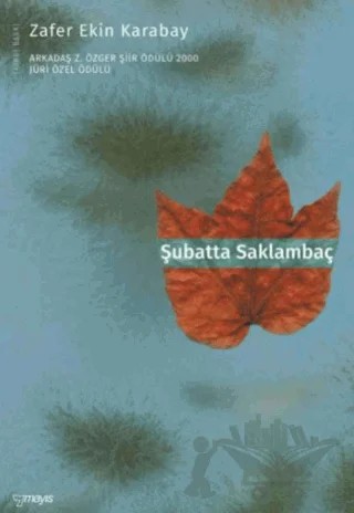 Şubatta Saklambaç – Zafer Ekin Karabay – Mayıs Yayınları kitap kapağı