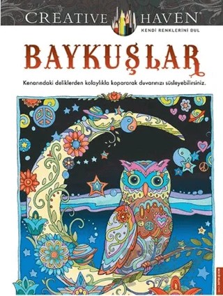 Baykuşlar – Marjorie Sarnat – Destek Yayınları kitap kapağı