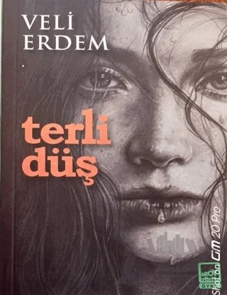 Terli Düş – Veli Erdem – Broy Yayınları kitap kapağı