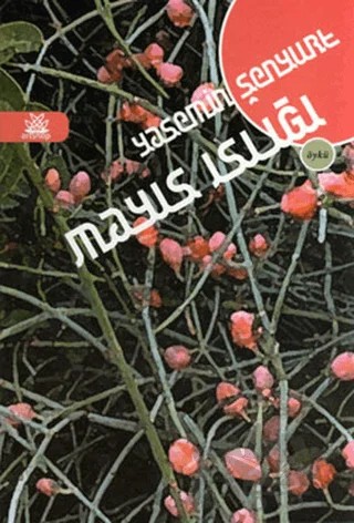 Mayıs Islığı – Yasemin Şenyurt – Artshop Yayıncılık kitap kapağı