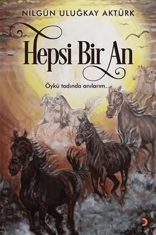 Hepsi Bir An – Nilgün Uluğkay Aktürk – Cinius Yayınları kitap kapağı
