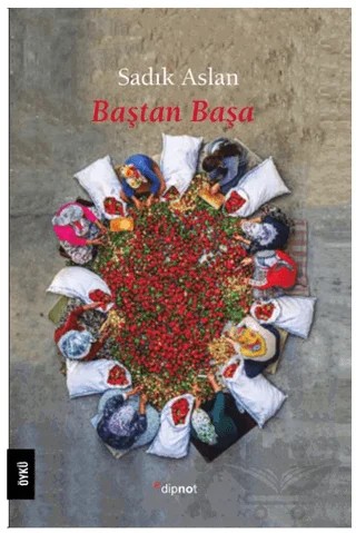 Baştan Başa – Sadık Aslan – Dipnot Yayınları kitap kapağı