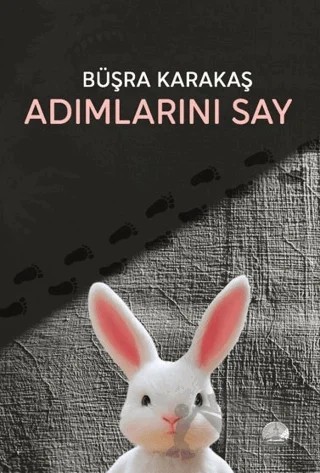 Adımlarını Say – Büşra Karakaş – Odessa Yayınevi kitap kapağı