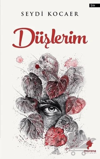 Düşlerim – Seydi Kocaer – Morena Yayınevi kitap kapağı