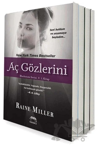 Blackstone Serisi Seti - 4 Kitap Takım – Raine Miller – Yabancı Yayınları kitap kapağı