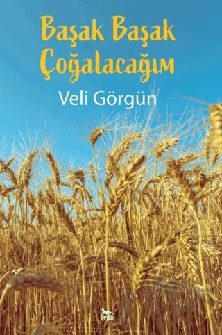 Başak Başak Çoğalacağım – Veli Görgün – Ceylan Yayınları kitap kapağı
