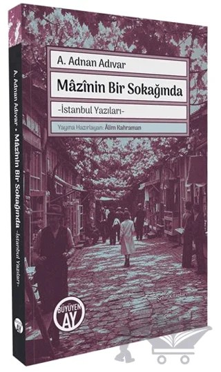 Mazînin Bir Sokağında – Abdülhak Adnan Adıvar – Büyüyen Ay Yayınları kitap kapağı