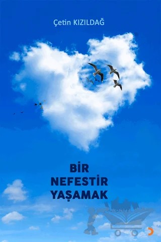 Bir Nefestir Yaşamak – Çetin Kızıldağ – Cinius Yayınları kitap kapağı