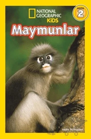 Maymunlar – Anne Schreiber – Beta Kids kitap kapağı