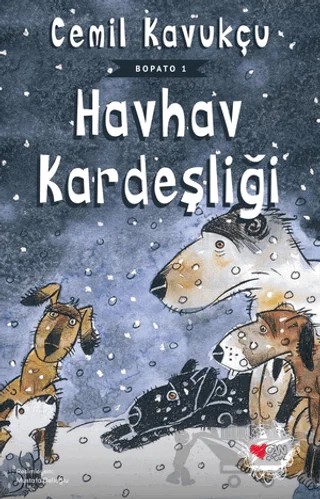 Havhav Kardeşliği – Cemil Kavukçu – Can Çocuk Yayınları kitap kapağı