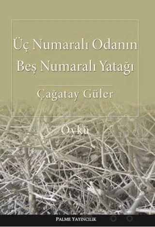 Üç Numaralı Odanın Beş Numaralı Yatağı – Çağatay Güler – Palme Yayıncılık kitap kapağı