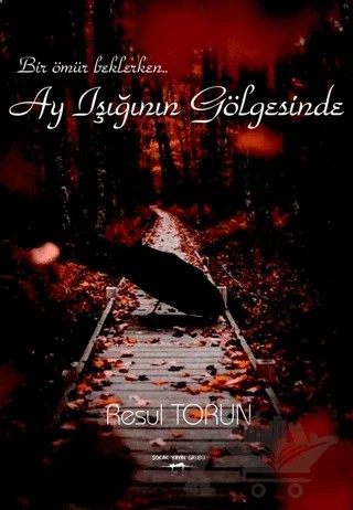 Ay Işığının Gölgesinde – Resul Torun – Sokak Kitapları Yayınları kitap kapağı